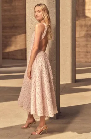 Aje Quintette Backless Midi Dress in Pink