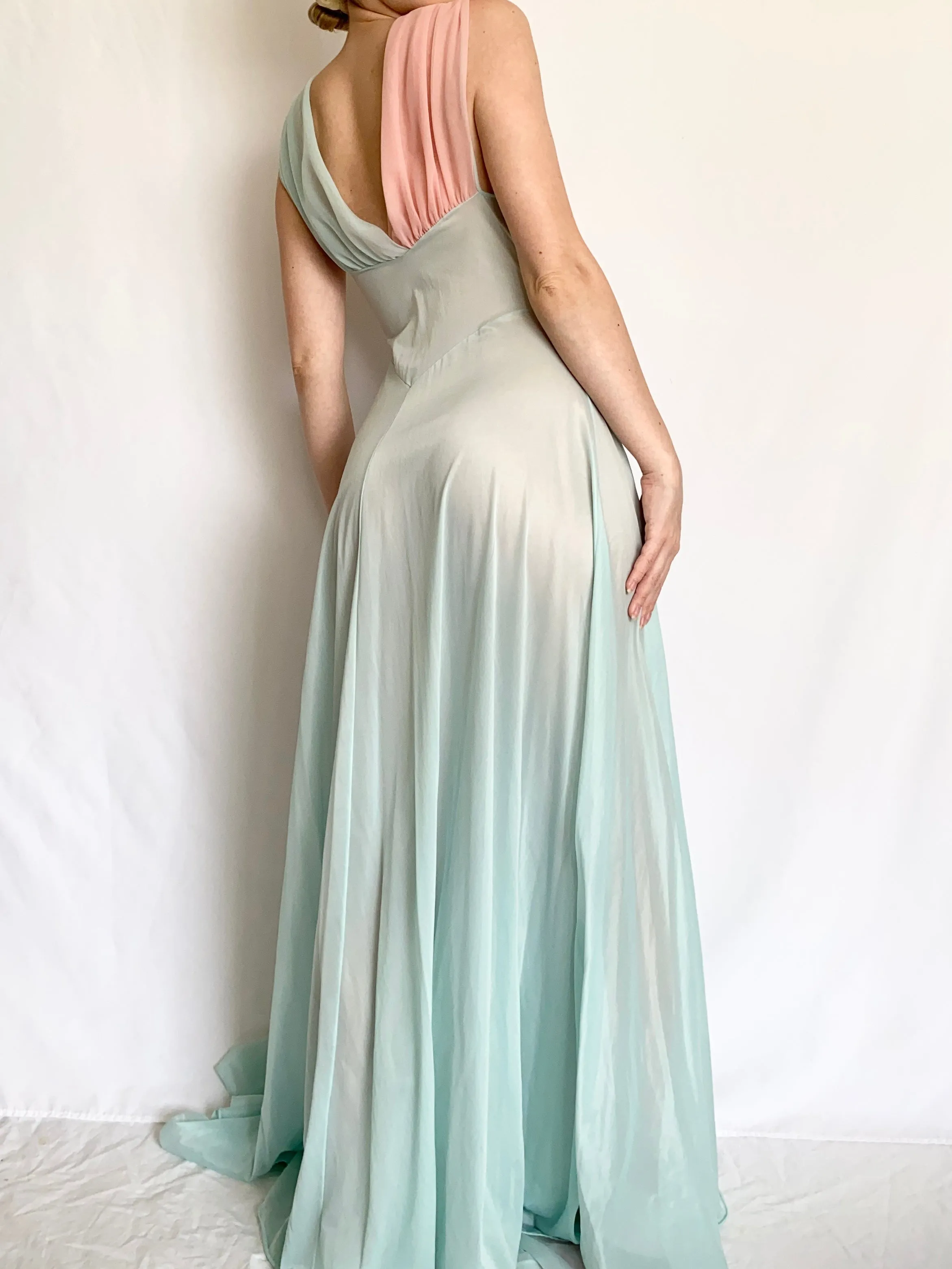 Barbie Swan Lake 1950s Bicolor Nylon Gown (S)