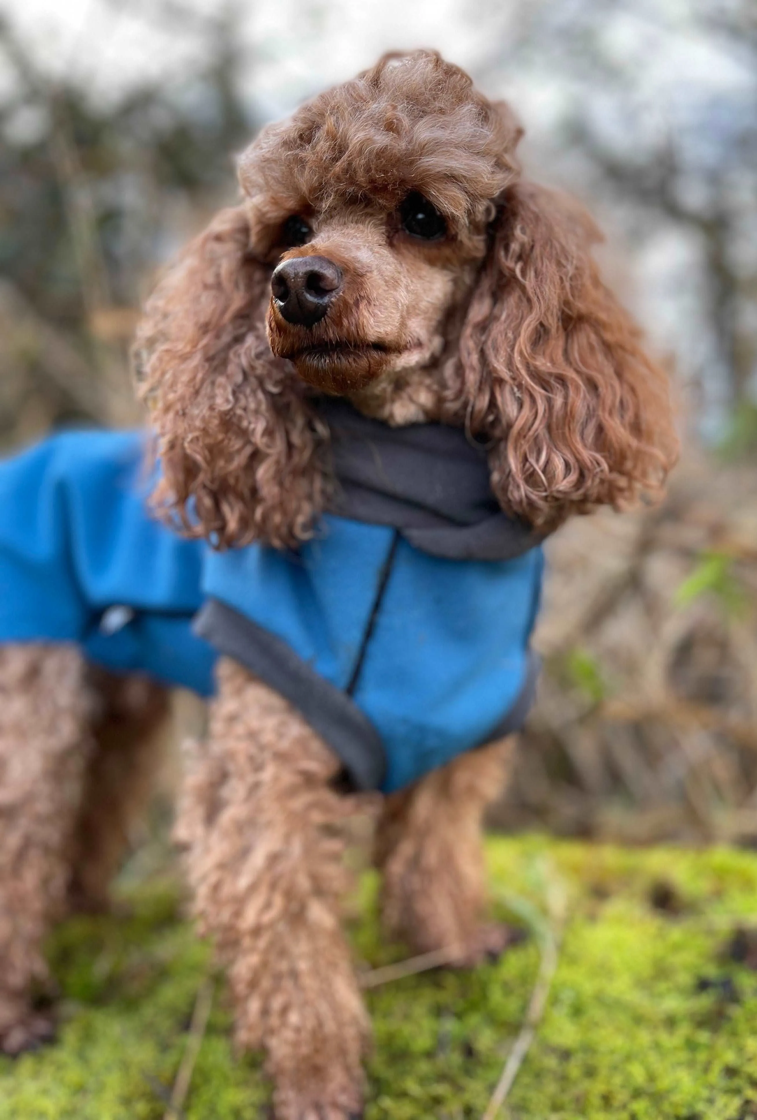 Malibu Blue - Double layer Waterproof Microfleece McTog Dog Jumper