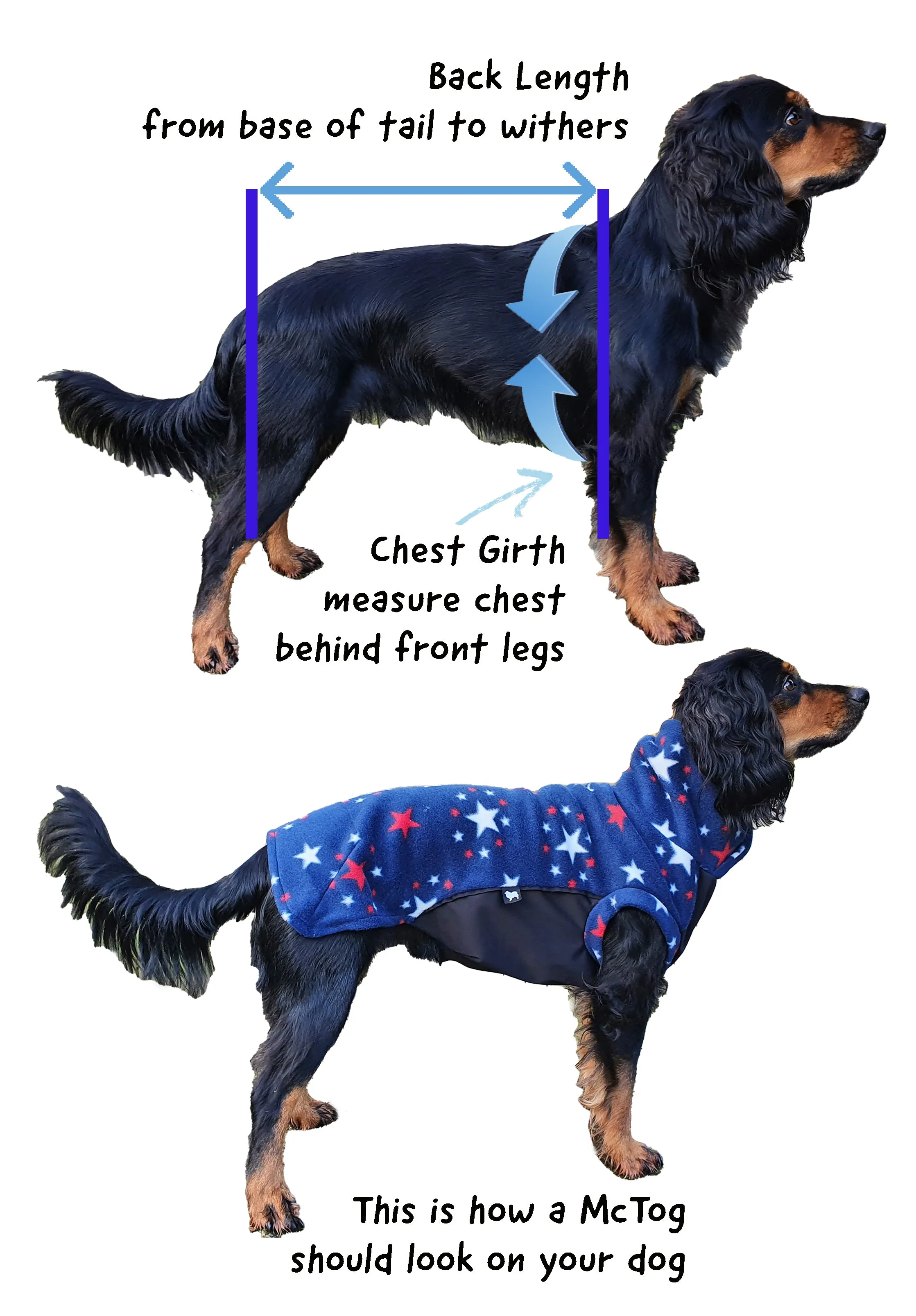 Malibu Blue - Double layer Waterproof Microfleece McTog Dog Jumper
