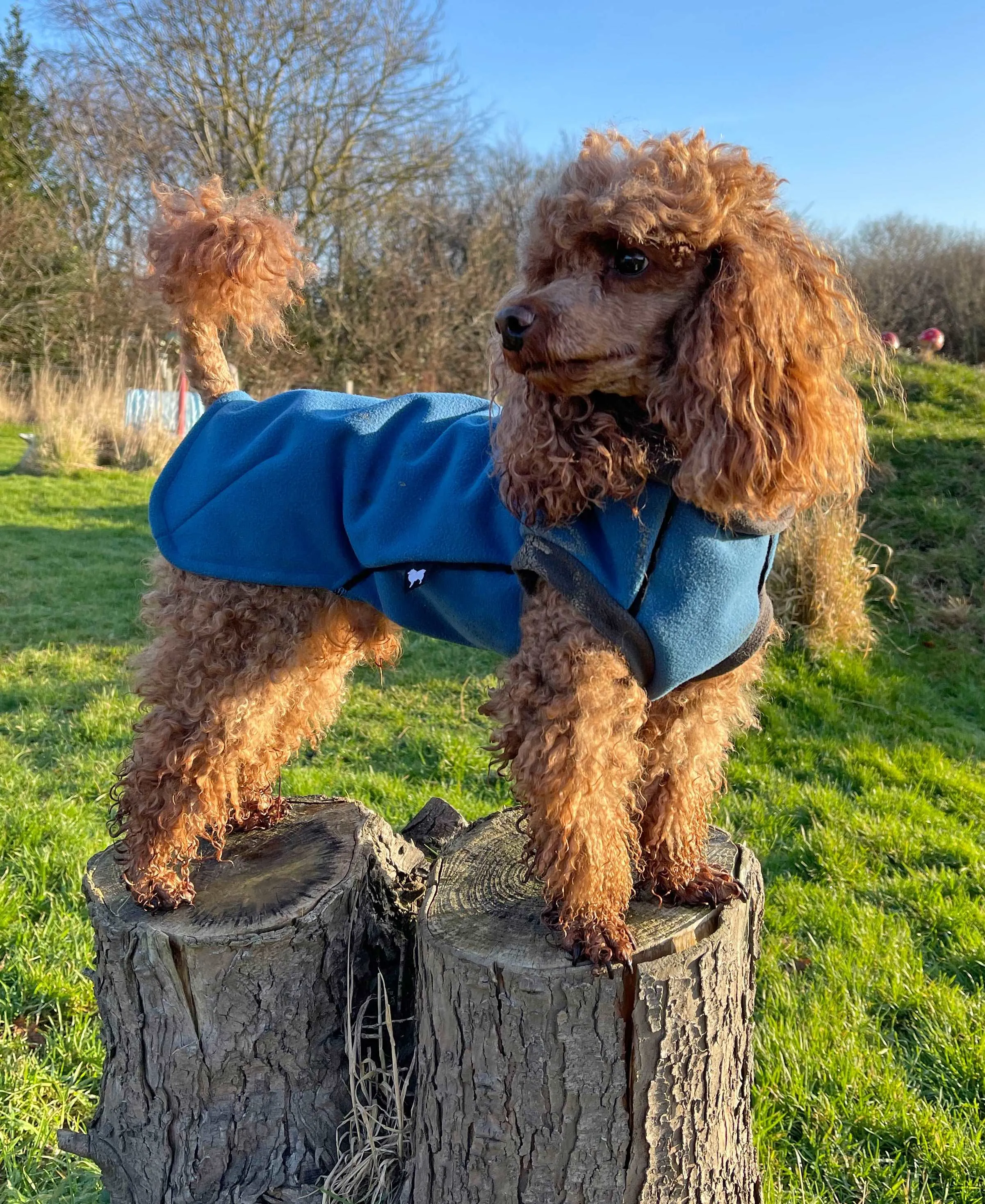 Malibu Blue - Double layer Waterproof Microfleece McTog Dog Jumper