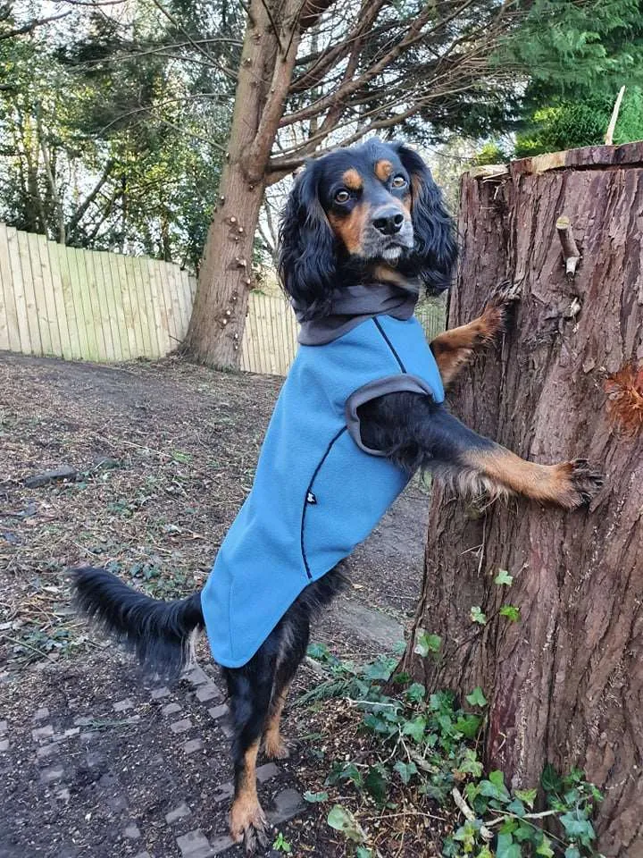 Malibu Blue - Double layer Waterproof Microfleece McTog Dog Jumper