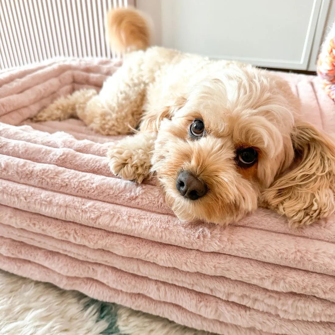 Memory Foam Dog Bed - Puffer Rosewater