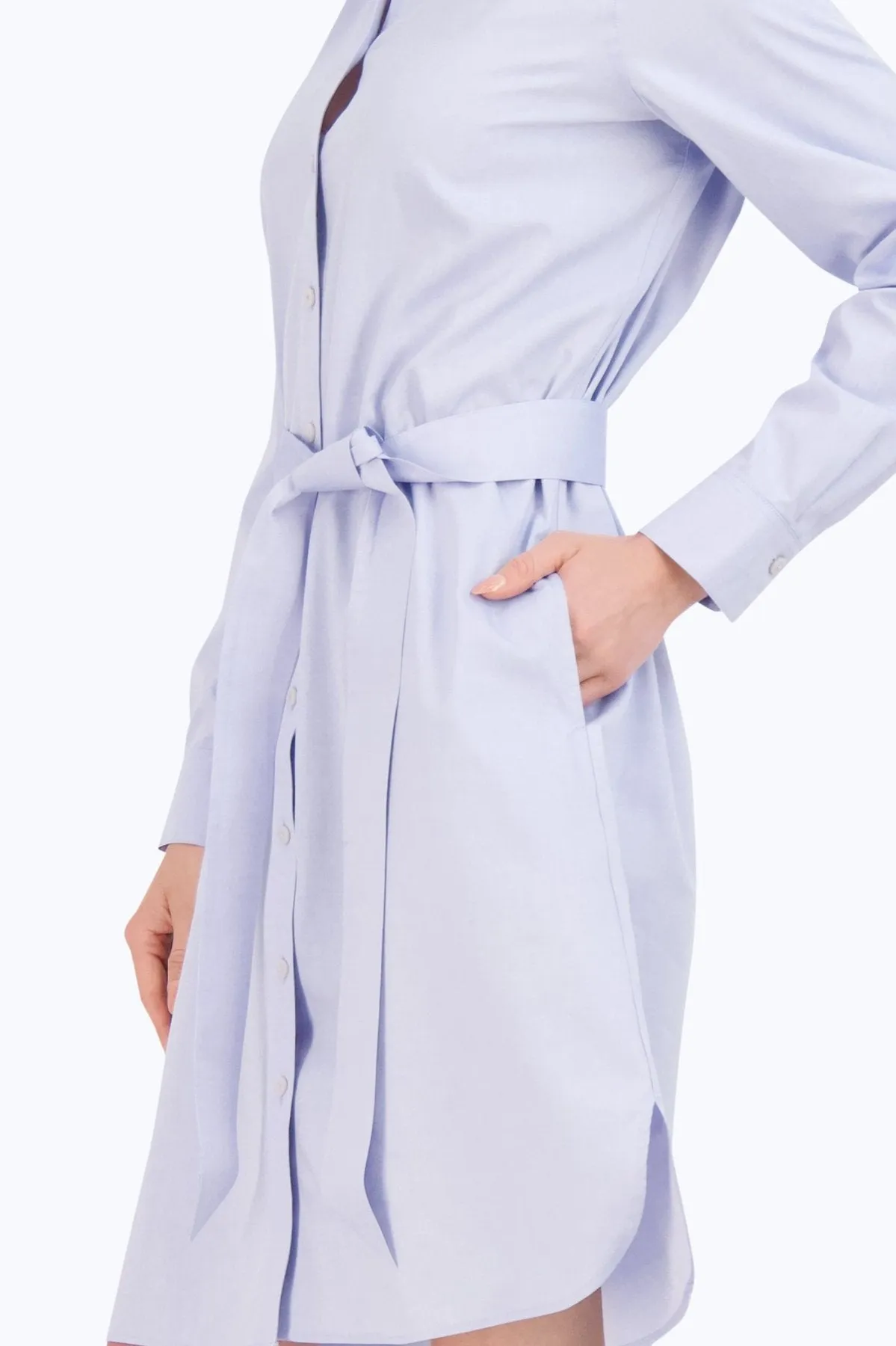 Rocca Pinpoint No Iron Dress, Blue Wave