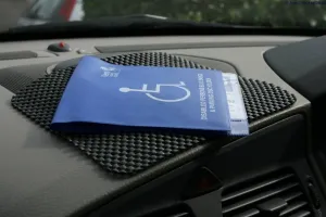 Stayput Anti-Slip Fabric Car Pad